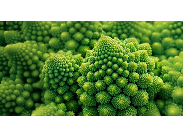 text-node created:&nbsp;2024-11-29 09:31:59 &nbsp; &nbsp; &nbsp; &nbsp; &nbsp; &nbsp; work submitted:&nbsp;2024-11-29 09:38:06 &nbsp; &nbsp; &nbsp; &nbsp; &nbsp; &nbsp; last&nbsp;editing/rating:&nbsp;2026-01-02 16:46:36