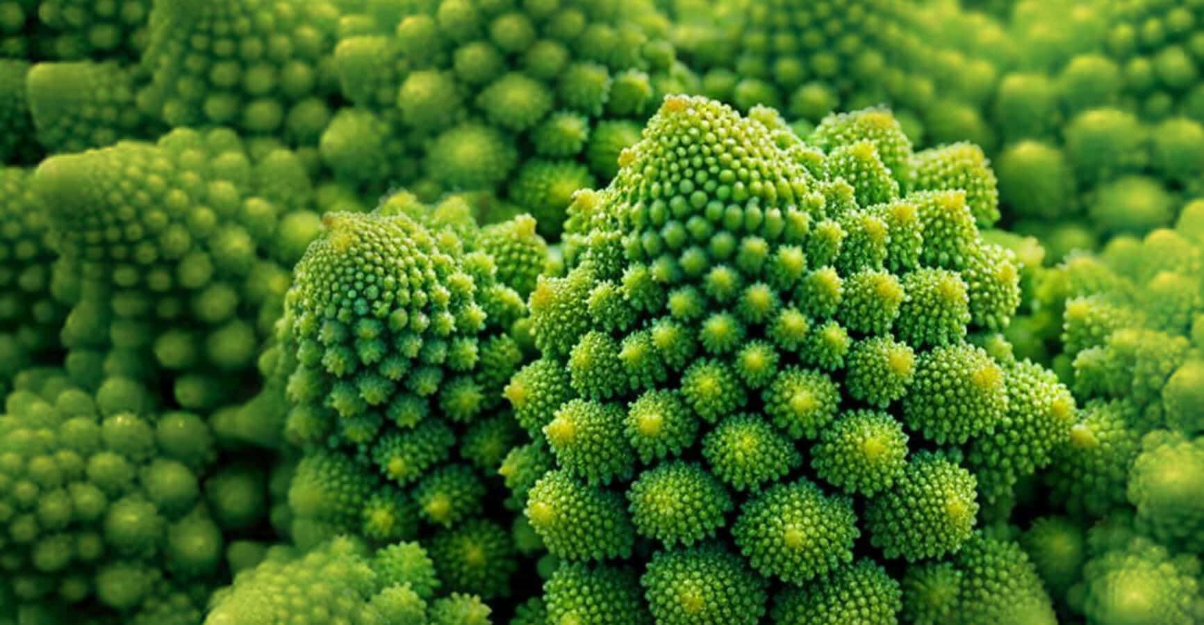 text-node created:&nbsp;2024-11-29 09:31:59 &nbsp; &nbsp; &nbsp; &nbsp; &nbsp; &nbsp; work submitted:&nbsp;2024-11-29 09:38:06 &nbsp; &nbsp; &nbsp; &nbsp; &nbsp; &nbsp; last&nbsp;editing/rating:&nbsp;2026-01-02 16:46:36