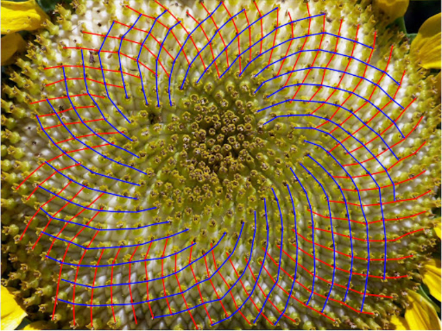 text-node created:&nbsp;2024-11-29 09:34:14 &nbsp; &nbsp; &nbsp; &nbsp; &nbsp; &nbsp; work submitted:&nbsp;2024-11-29 09:40:35 &nbsp; &nbsp; &nbsp; &nbsp; &nbsp; &nbsp; last&nbsp;editing/rating:&nbsp;2026-01-19 17:47:58