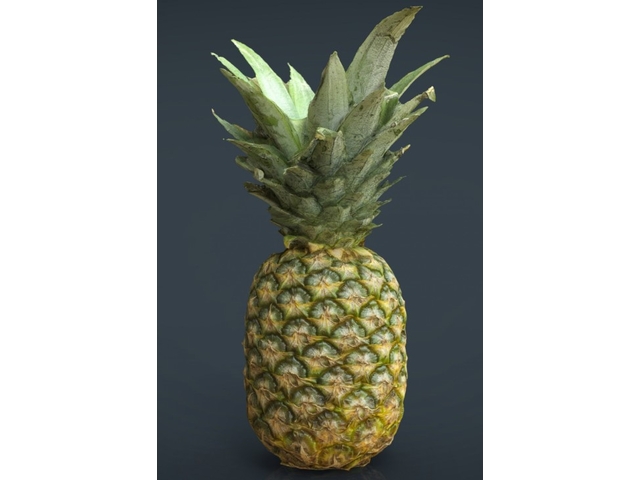 text-node created:&nbsp;2024-11-29 11:35:41 &nbsp; &nbsp; &nbsp; &nbsp; &nbsp; &nbsp; work submitted:&nbsp;2024-11-29 11:44:19 &nbsp; &nbsp; &nbsp; &nbsp; &nbsp; &nbsp; last&nbsp;editing/rating:&nbsp;2026-01-02 17:31:27