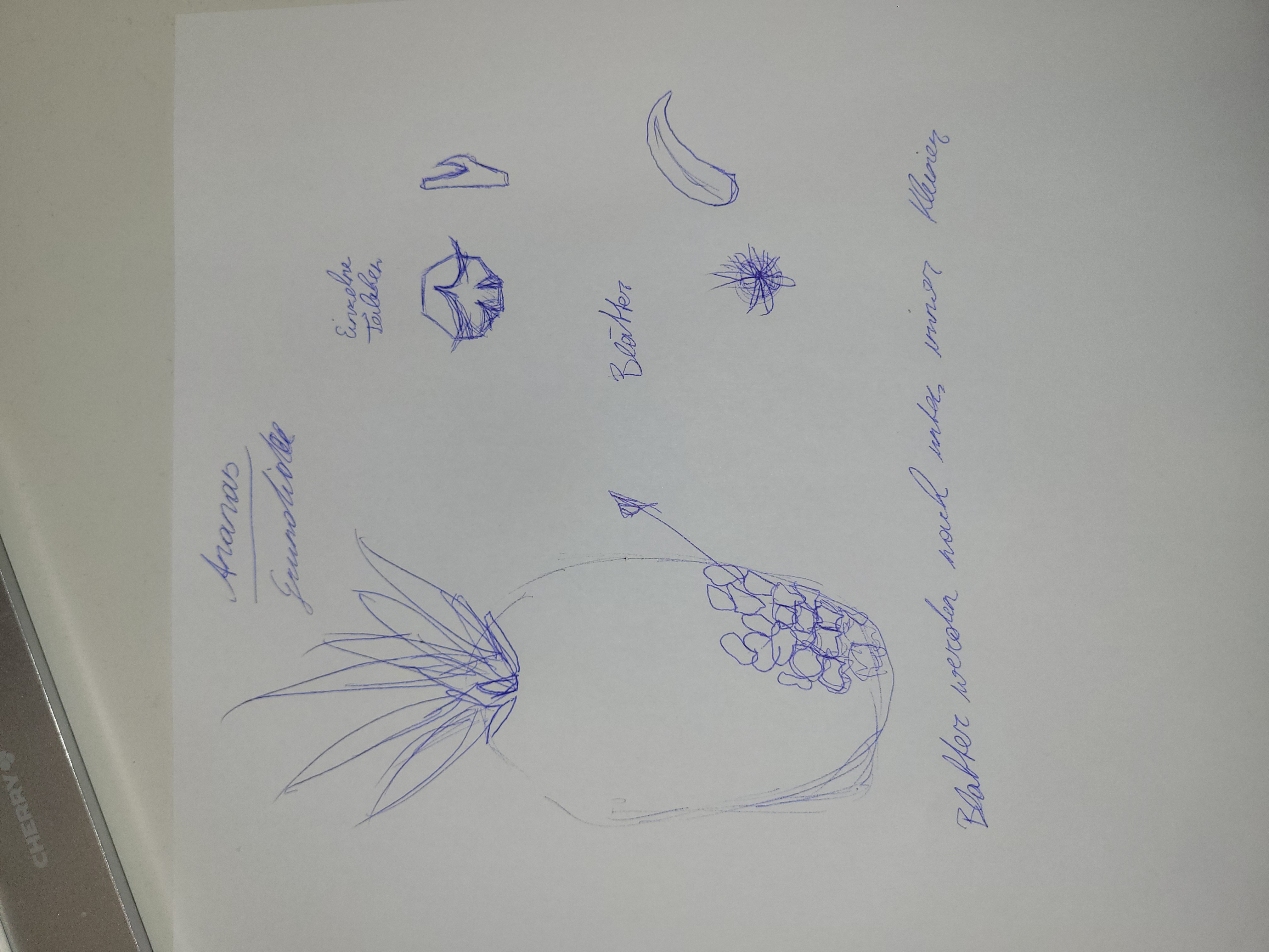 text-node created:&nbsp;2024-11-29 11:45:47 &nbsp; &nbsp; &nbsp; &nbsp; &nbsp; &nbsp; work submitted:&nbsp;2024-11-29 11:47:01 &nbsp; &nbsp; &nbsp; &nbsp; &nbsp; &nbsp; last&nbsp;editing/rating:&nbsp;2026-01-02 17:25:59