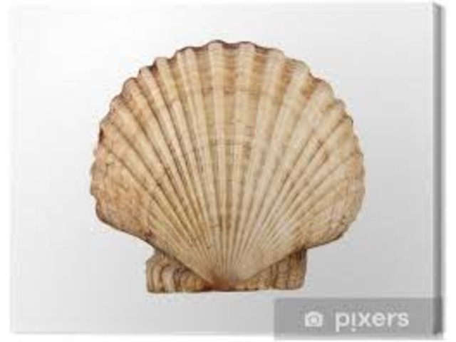 text-node created:&nbsp;2024-12-01 18:04:07 &nbsp; &nbsp; &nbsp; &nbsp; &nbsp; &nbsp; work submitted:&nbsp;2024-12-01 18:04:59 &nbsp; &nbsp; &nbsp; &nbsp; &nbsp; &nbsp; last&nbsp;editing/rating:&nbsp;2026-01-02 16:40:49