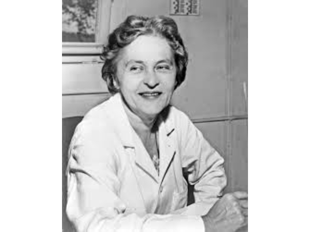 text-node created:&nbsp;2024-12-03 20:56:24 &nbsp; &nbsp; &nbsp; &nbsp; &nbsp; &nbsp; work submitted:&nbsp;2024-12-03 21:05:18 &nbsp; &nbsp; &nbsp; &nbsp; &nbsp; &nbsp; last&nbsp;editing/rating:&nbsp;2026-01-02 17:28:04