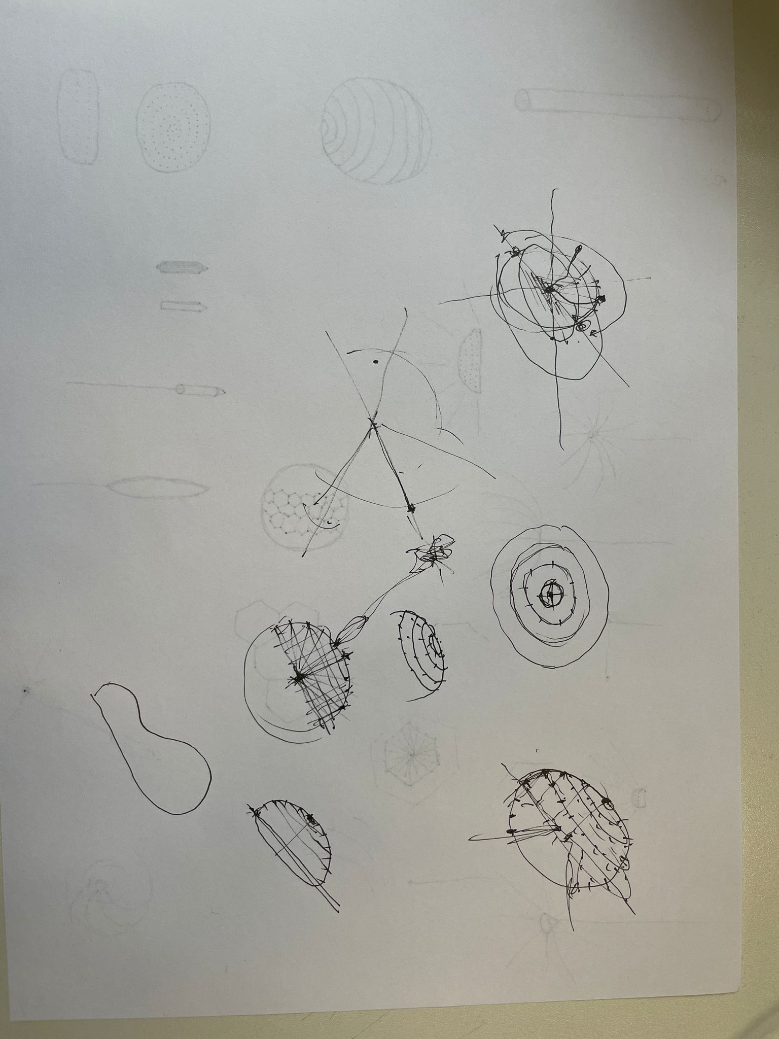 text-node created:&nbsp;2024-12-20 13:32:08 &nbsp; &nbsp; &nbsp; &nbsp; &nbsp; &nbsp; work submitted:&nbsp;2024-12-20 13:35:15 &nbsp; &nbsp; &nbsp; &nbsp; &nbsp; &nbsp; last&nbsp;editing/rating:&nbsp;2026-01-02 16:45:46