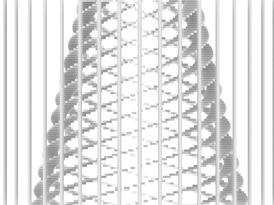 text-node created:&nbsp;2025-02-17 00:00:12 &nbsp; &nbsp; &nbsp; &nbsp; &nbsp; &nbsp; work submitted:&nbsp;2025-02-17 00:05:43 &nbsp; &nbsp; &nbsp; &nbsp; &nbsp; &nbsp; last&nbsp;editing/rating:&nbsp;2026-01-02 16:02:41